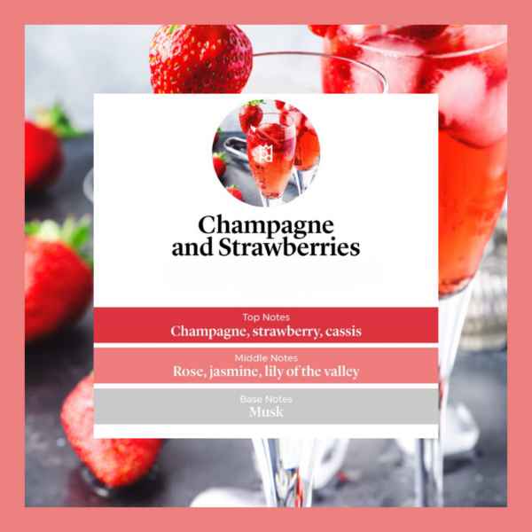 Champagne Strawberry Bliss waxmelts – aardbei & champagne – www.degeurboetiek.com
