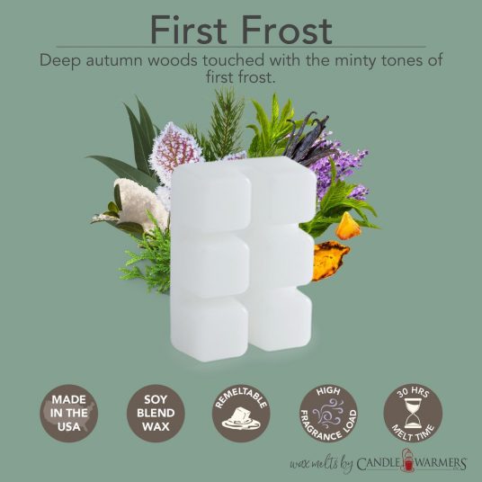 CandleWarmers Classics - waxbar 6-pack - First Frost