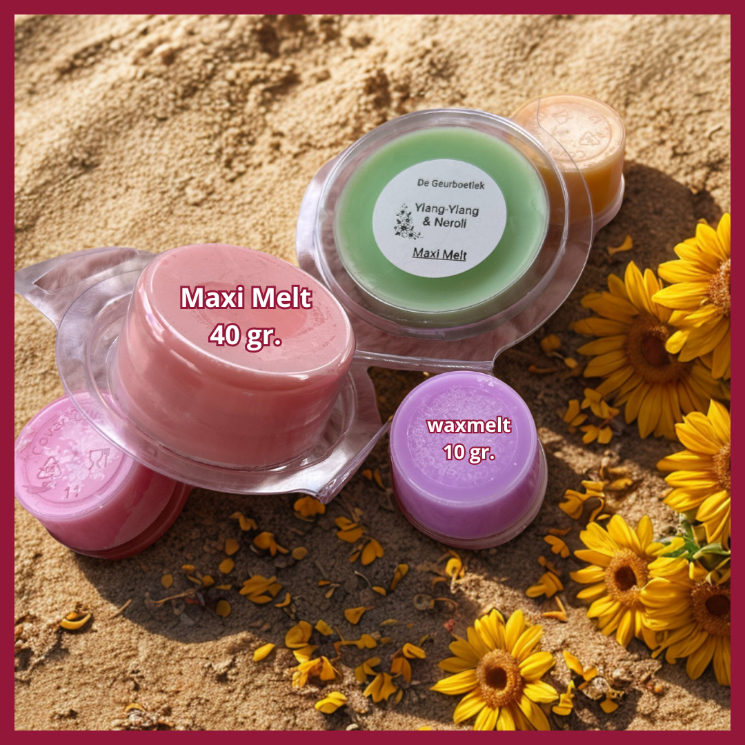 Waxmelts - Pure Sandalwood