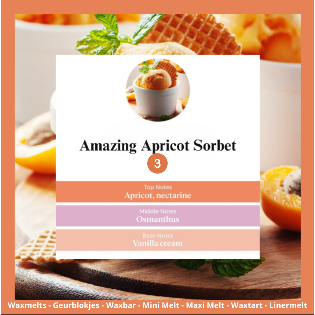 Waxmelts - Amazing Apricot Sorbet