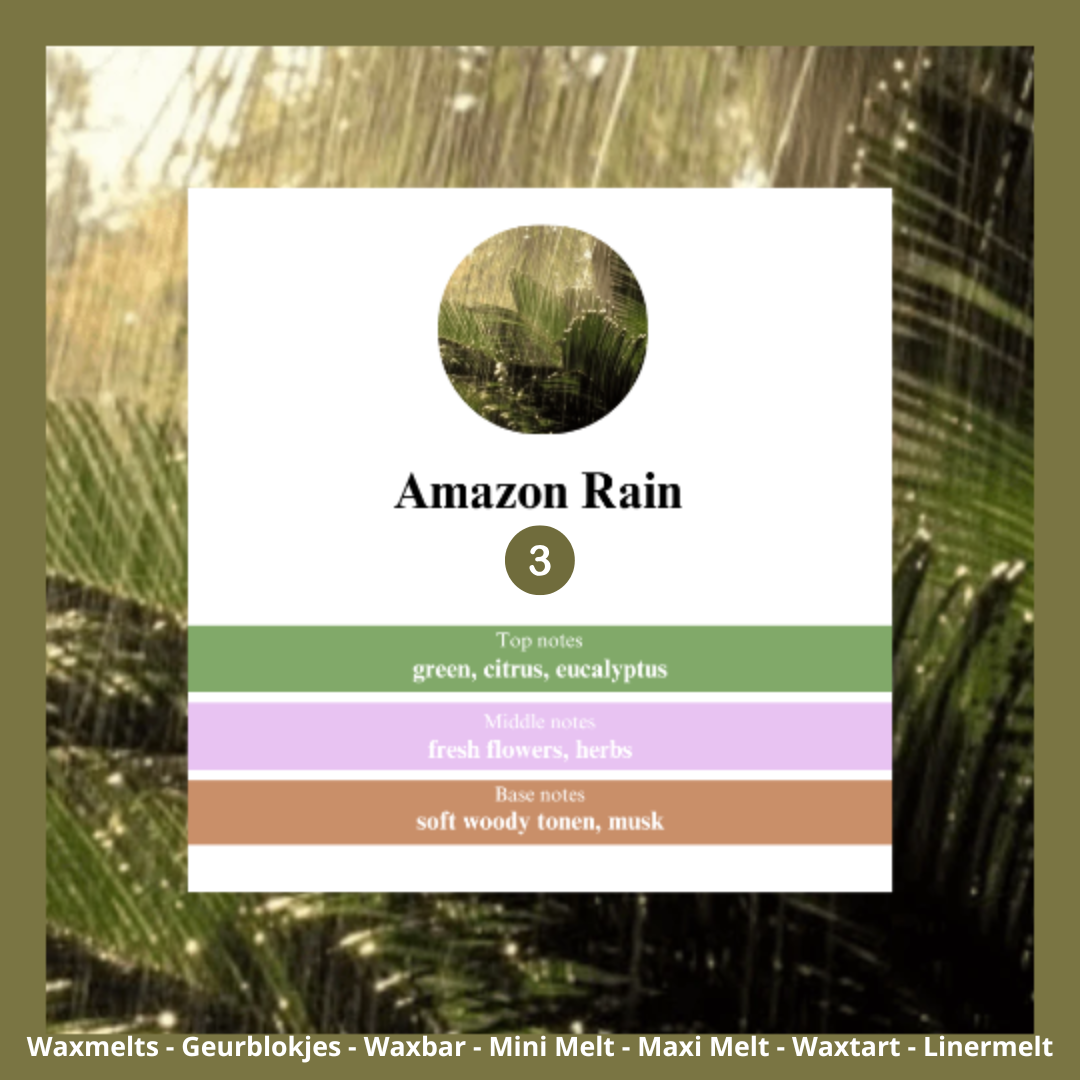 Waxmelts - Amazon Rain