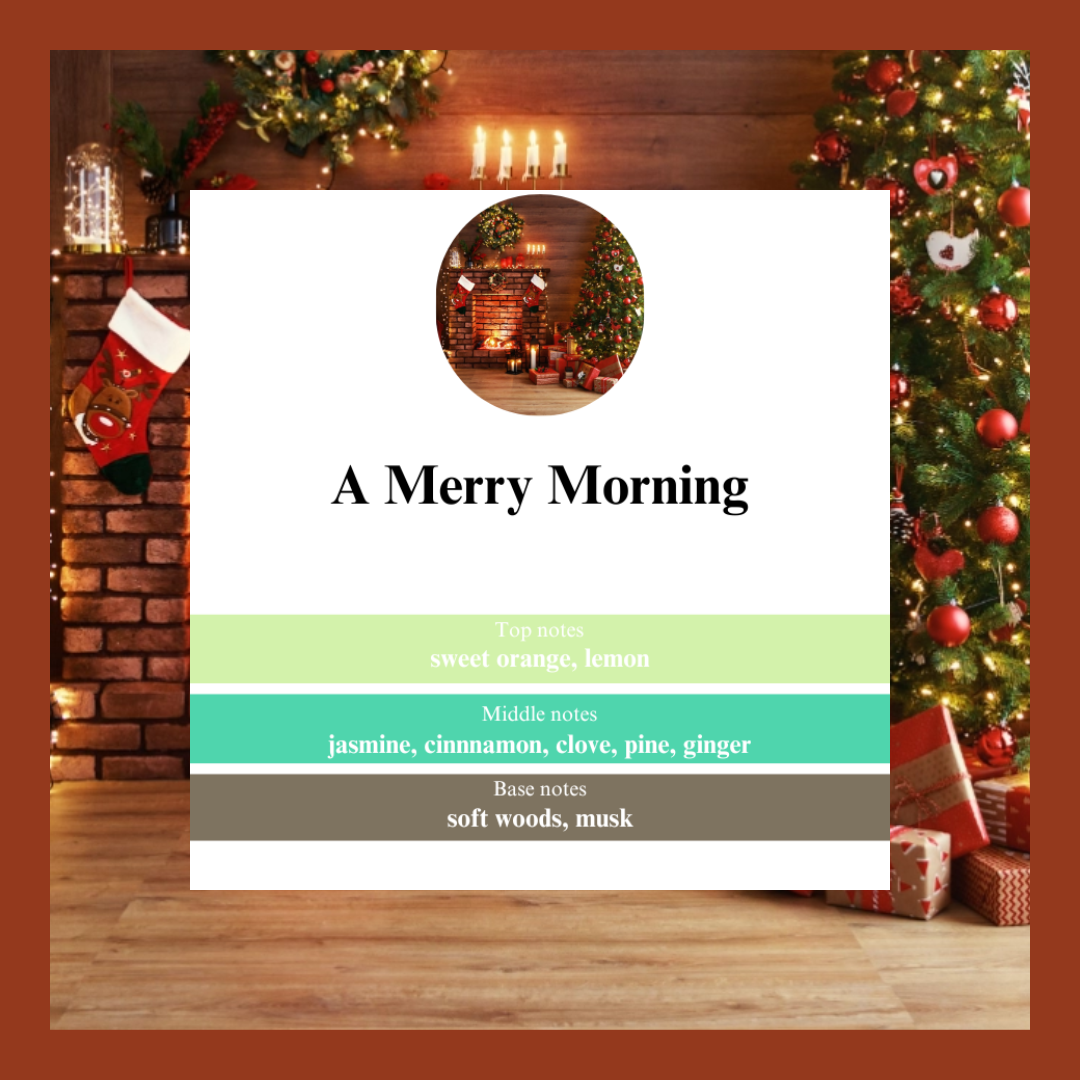 Waxmelts A Merry Morning – dennen, kruidnagel en kaneel geurblokjes www.degeurboetiek.com