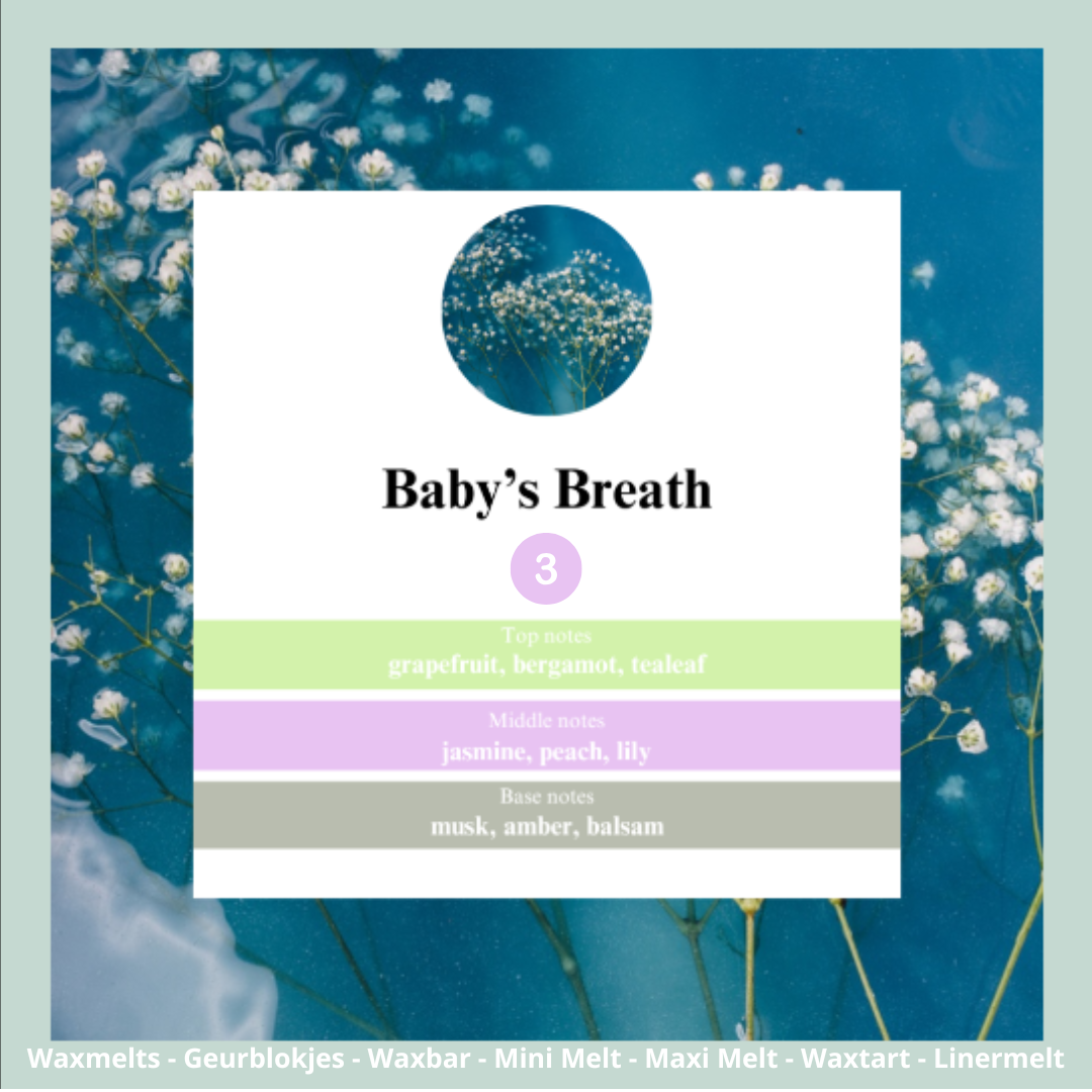 Waxmelts - Baby's Breath