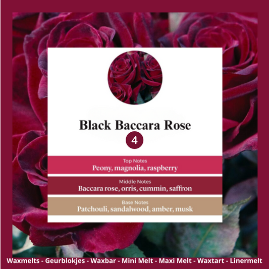 Waxmelts Black Baccara Rose – zwarte roos en kruidige accenten geurblokjes www.degeurboetiek.com
