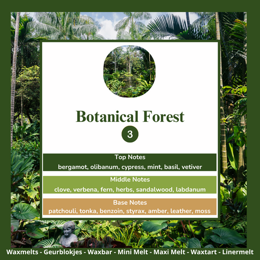 Waxmelts Botanical Forest – dennen, mos en bosgeuren geurblokjes www.degeurboetiek.com