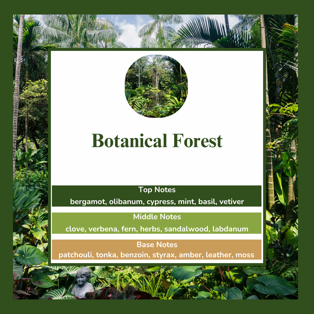 Waxmelts - Botanical Forest - πππ