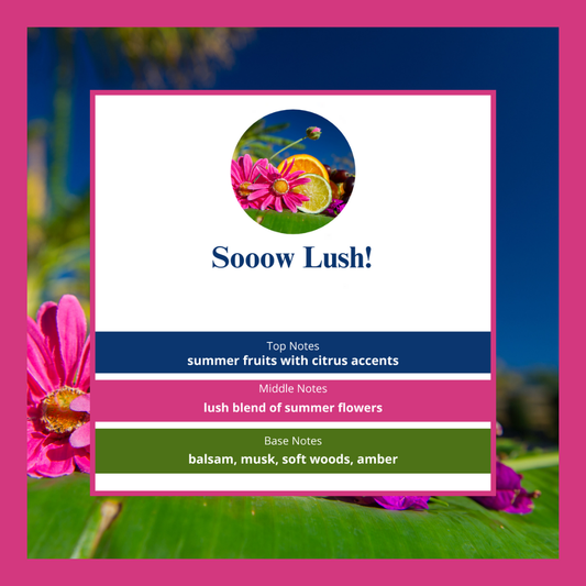 Sooow Lush waxmelts – zomerfruit, citrus, muskus & hout – www.degeurboetiek.com