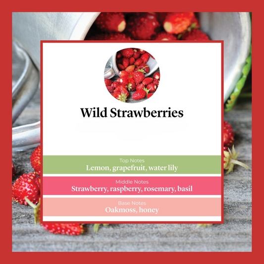 Waxmelts Wild Strawberries – Fris & Zoet Fruitig | wwwdegeurboetiek.com