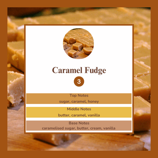 Waxmelts Caramel Fudge – romige karamel en vanille geurblokjes - www.degeurboetiek.com