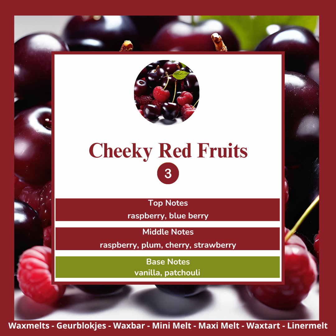 Cheeky Red Fruits waxmelts – bosvruchten, framboos, pruim, kers & vanille – www.degeurboetiek.com
