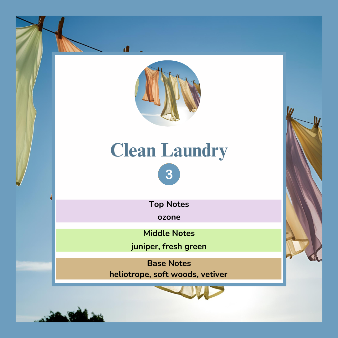 Waxmelts - Clean Laundry