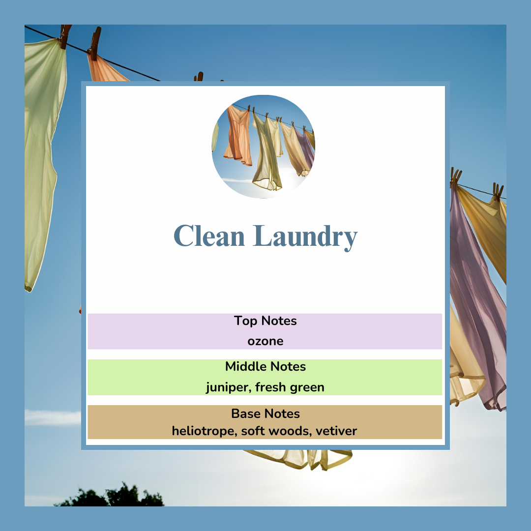 Waxmelts - Clean Laundry - 💧🌿💧