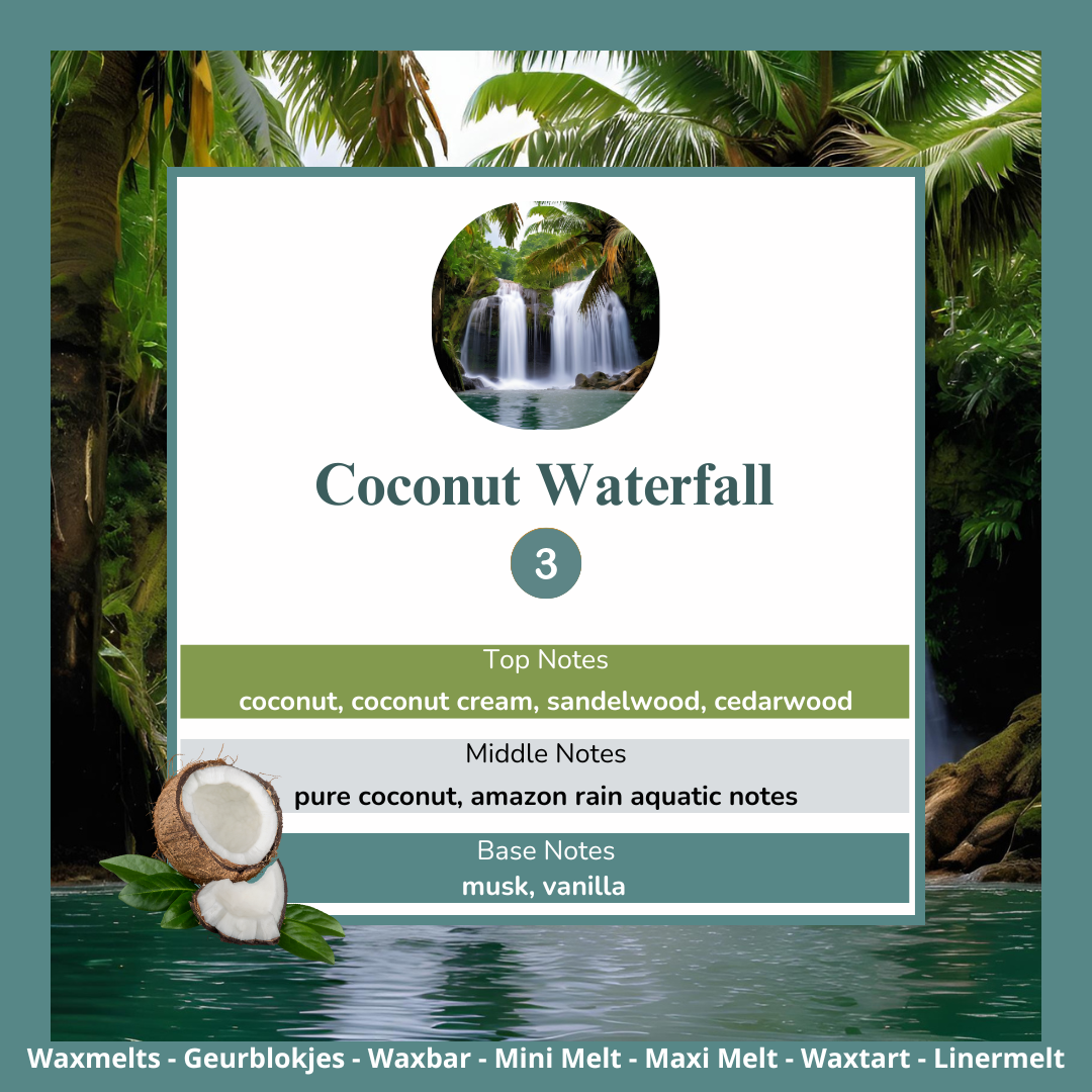Waxmelts - Coconut Waterfall