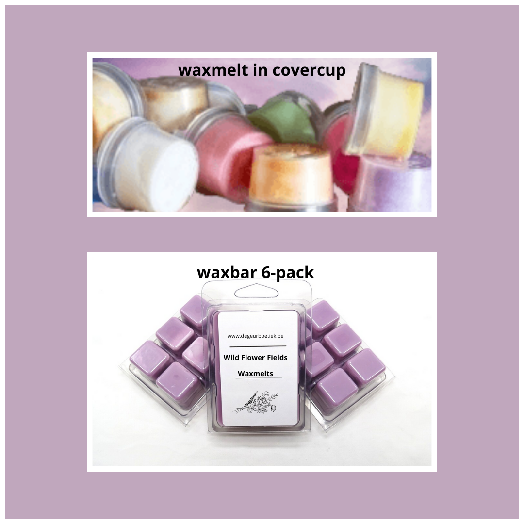 Waxmelts - Orange Flower