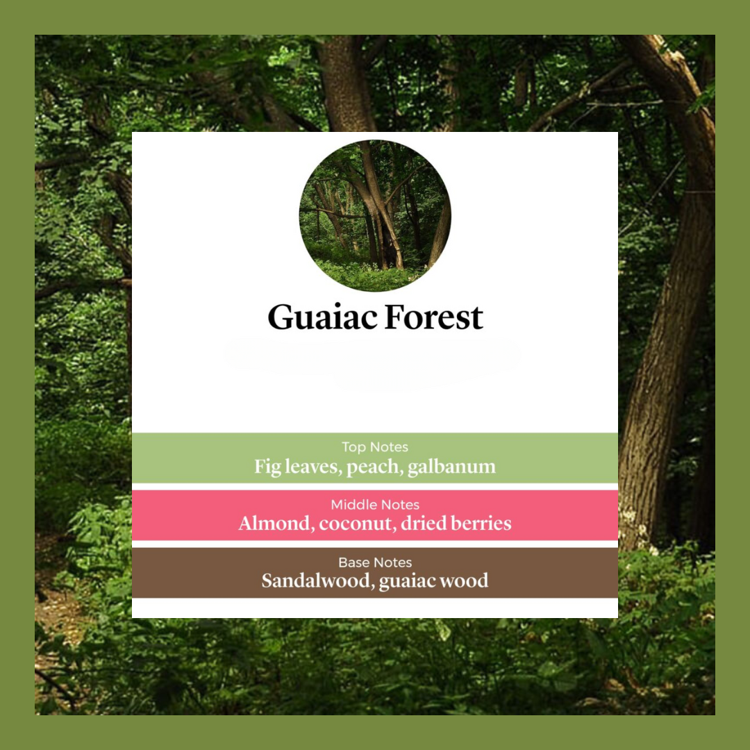 Waxmelts - Guaiac Forest