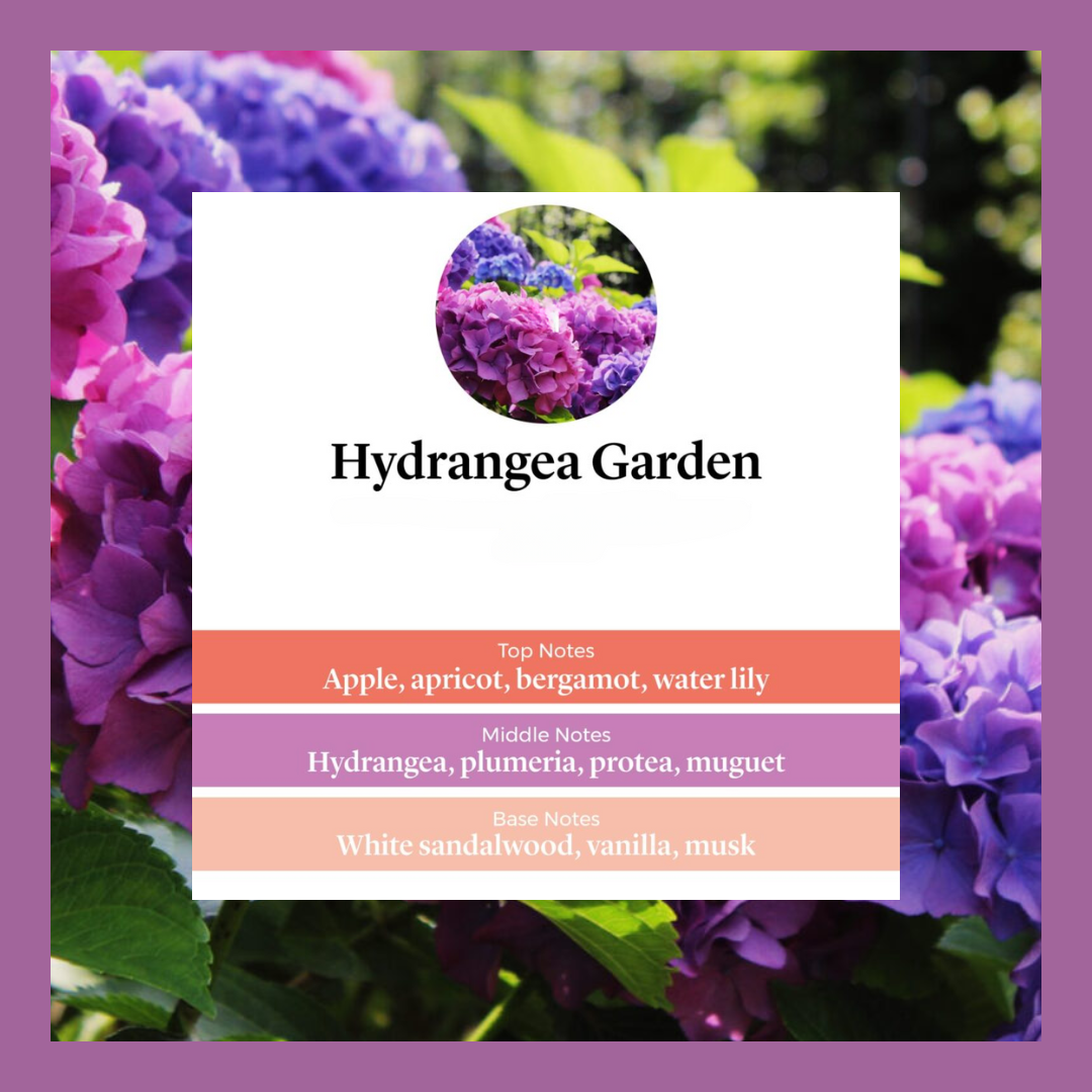 Waxmelts - Hydrangea Garden - 🌸🌸🌸