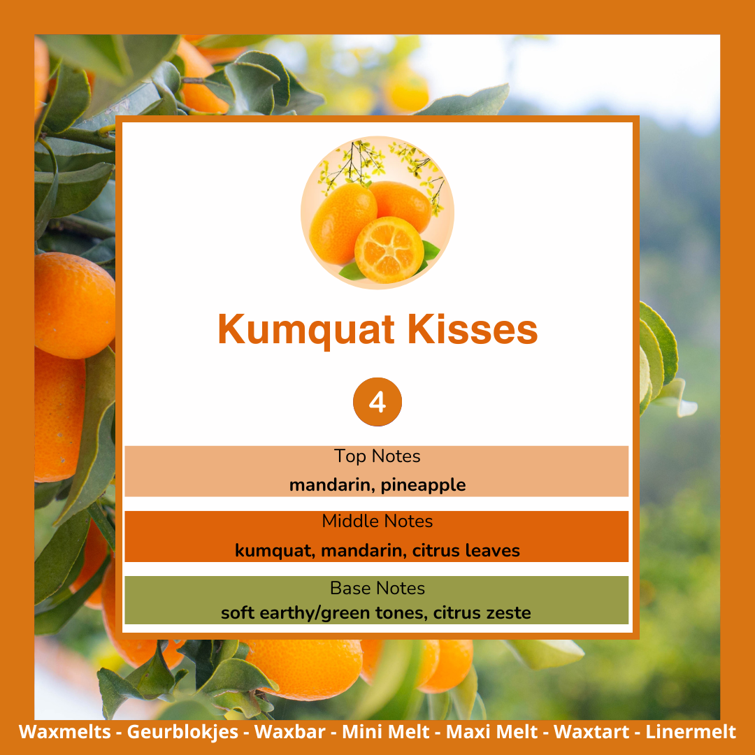 Waxmelts - Kumquat Kisses