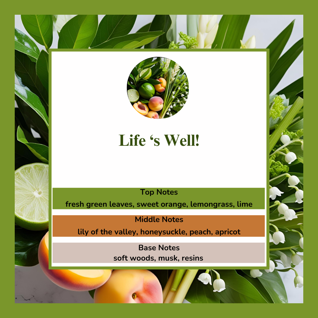 Waxmelts - Life 's Well! - ππππΈ
