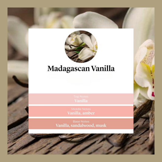 Waxmelts Madagascan Vanilla – exotische vanille geurblokjes - www.degeurboetiek.com