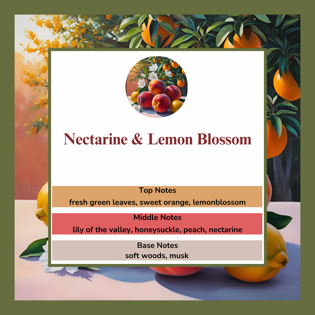 Waxmelts - Nectarine & Lemon Blossom - ππΈπ