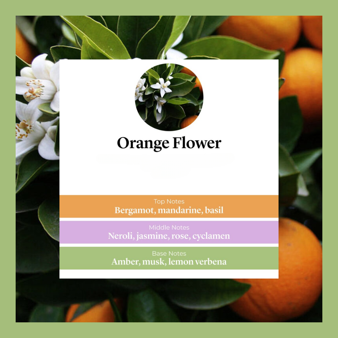 Orange Flower waxmelts – bergamot, mandarijn, basilicum, neroli, jasmijn, roos & musk – www.degeurboetiek.com