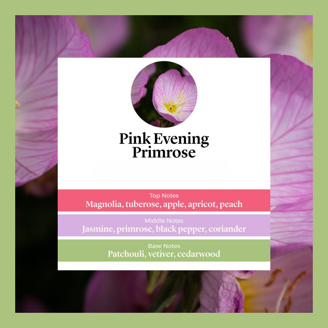Pink Evening Primrose waxmelts – magnolia, tuberoos, jasmijn, perzik, vanille & patchoeli – www.degeurboetiek.com