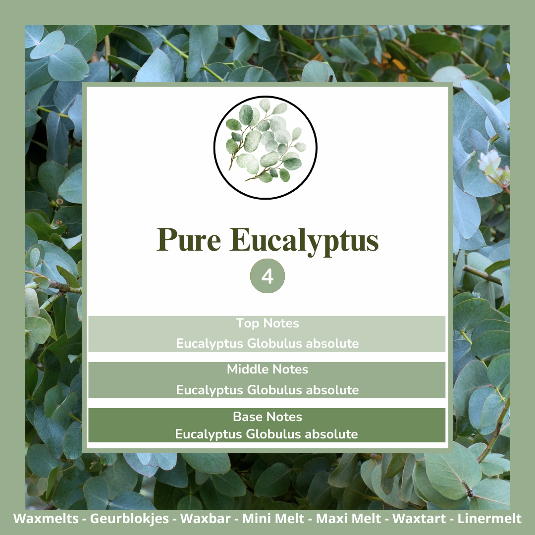 Waxmelts - Pure Eucalyptus