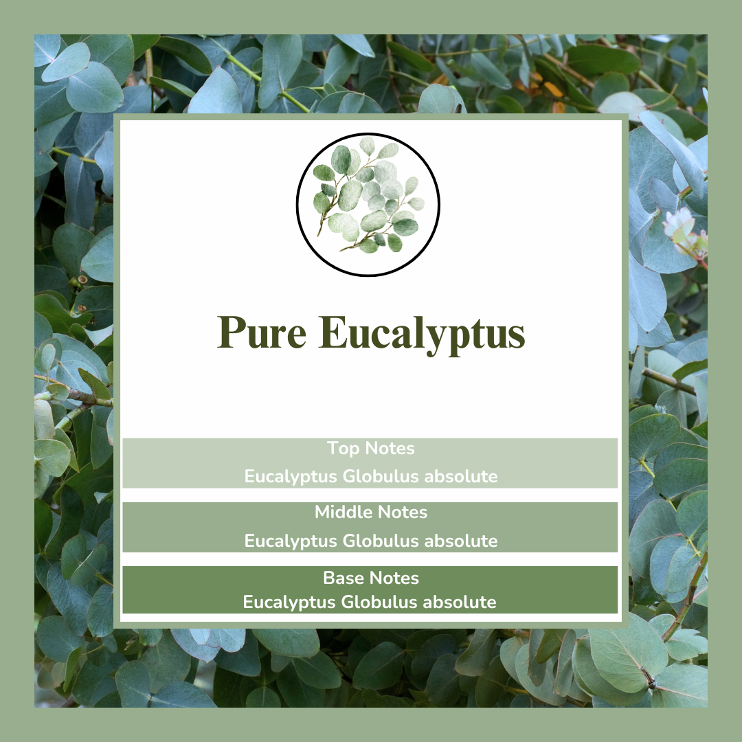 Waxmelts - Pure Eucalyptus - ππππ