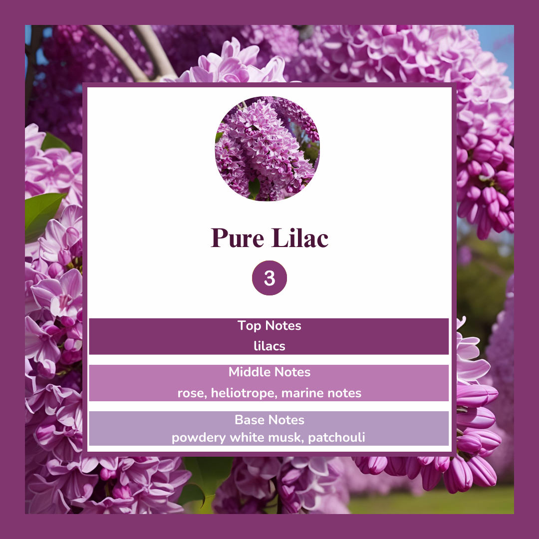 Waxmelts - Pure Lilac