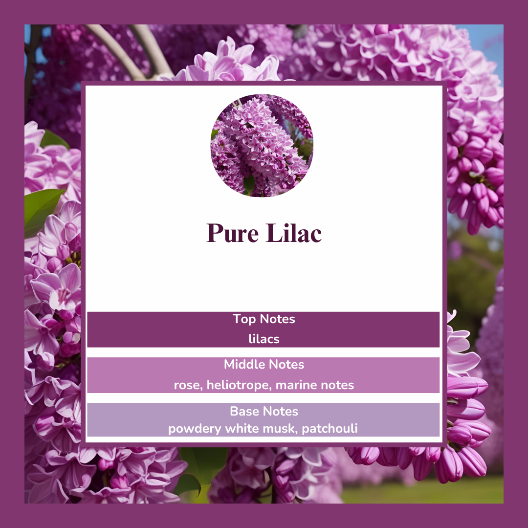 Waxmelts - Pure Lilac - 🌸🌿🌸
