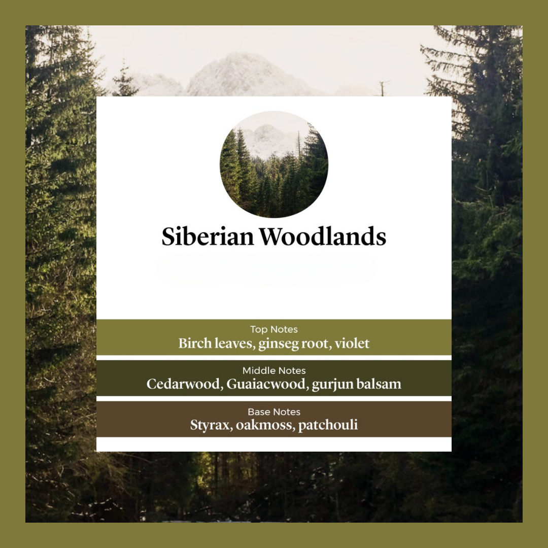 Waxmelts Siberian Woodlands – cederhout, patchouli en berken geurblokjes - www.degeurboetiek.com