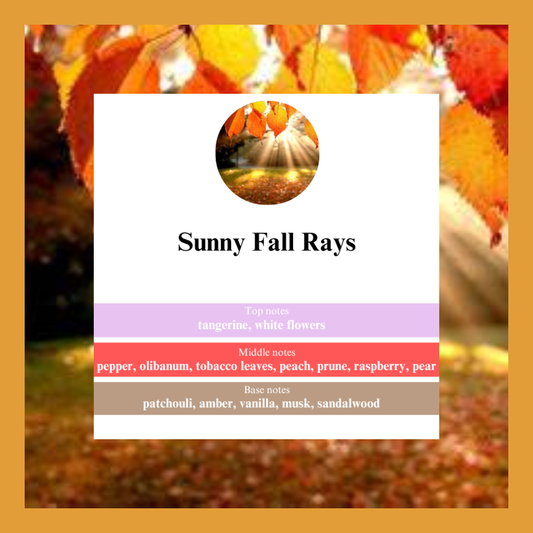 Waxmelts Sunny Fall Rays – herfstfruit en sandelhout geurblokjes - www.degeurboetiek.com