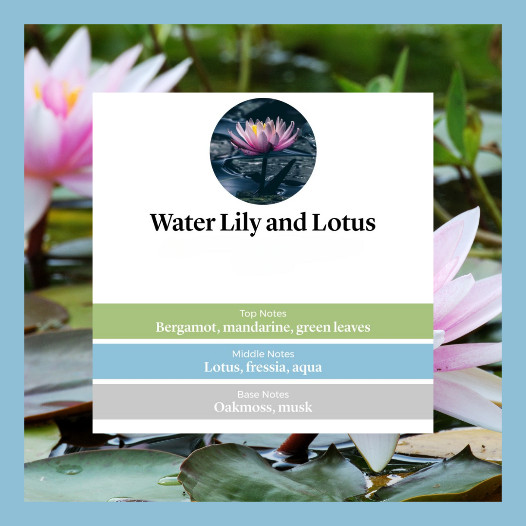 Water Lily & Lotus Flower waxmelts – bergamot, lotus, freesia, aquatische noten, musk & eikenmos – www.degeurboetiek.com
