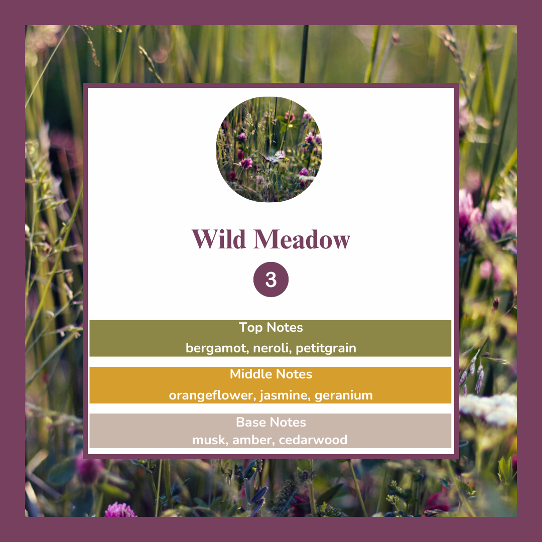 Waxmelts - Wild Meadow