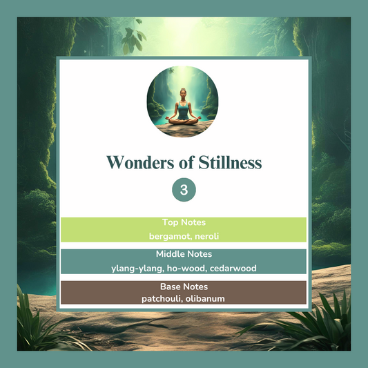 Waxmelts Wonders of Stillness – bergamot, neroli en wierook geurblokjes - www.degeurboetiek.com