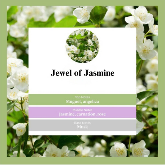 Waxmelts - Jewel of Jasmine