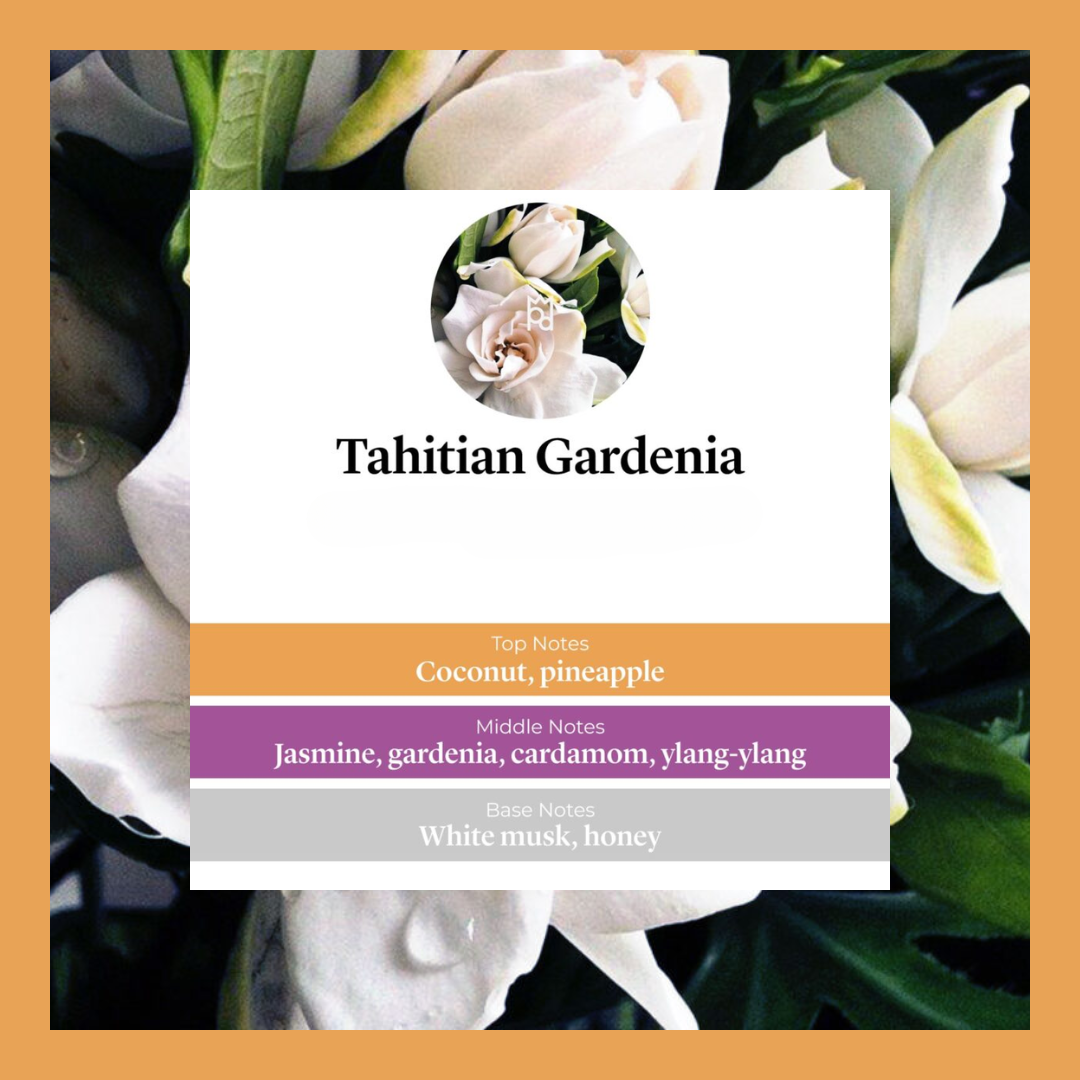 Waxmelts - Tahitian Gardenia