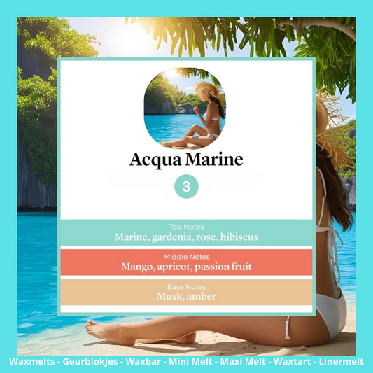Waxmelts - Acqua Marine