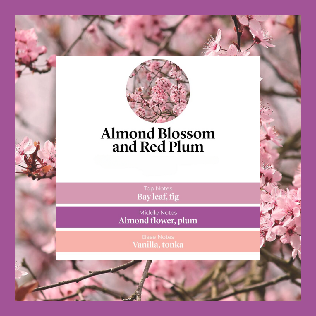 Waxmelts - Almond Blossom & Red Plum