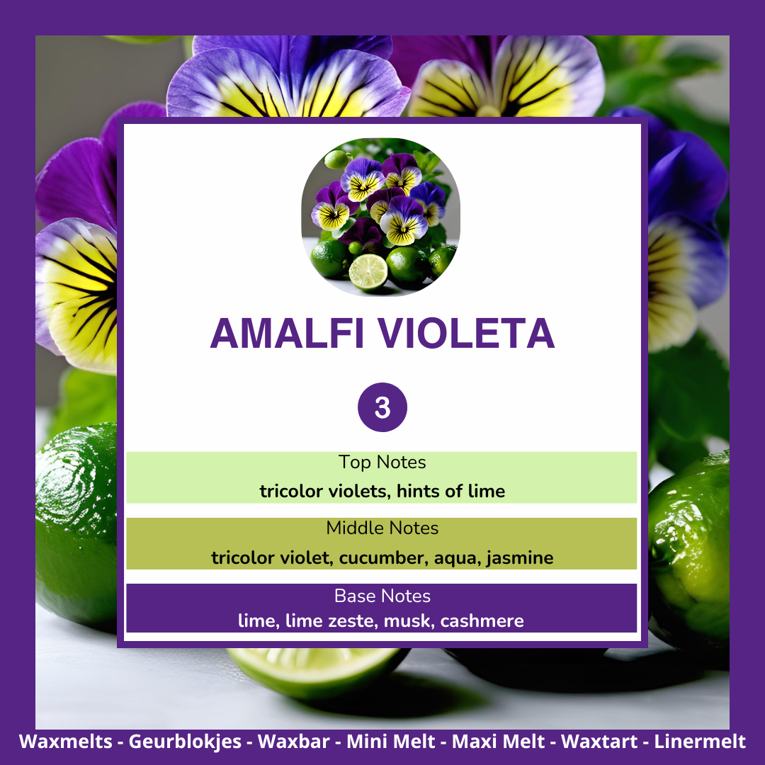 Waxmelts - Amalfi Violeta