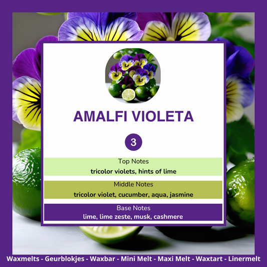 Waxmelts - Amalfi Violeta