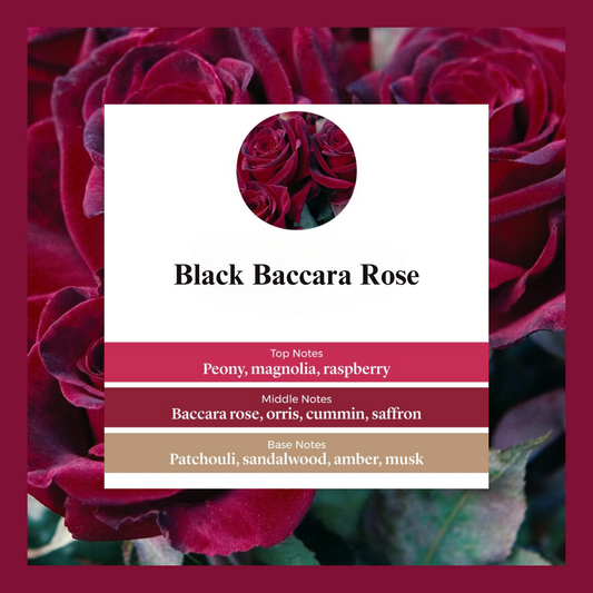 Waxmelts - Black Baccara Rose