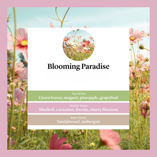 Waxmelts - Blooming Paradise