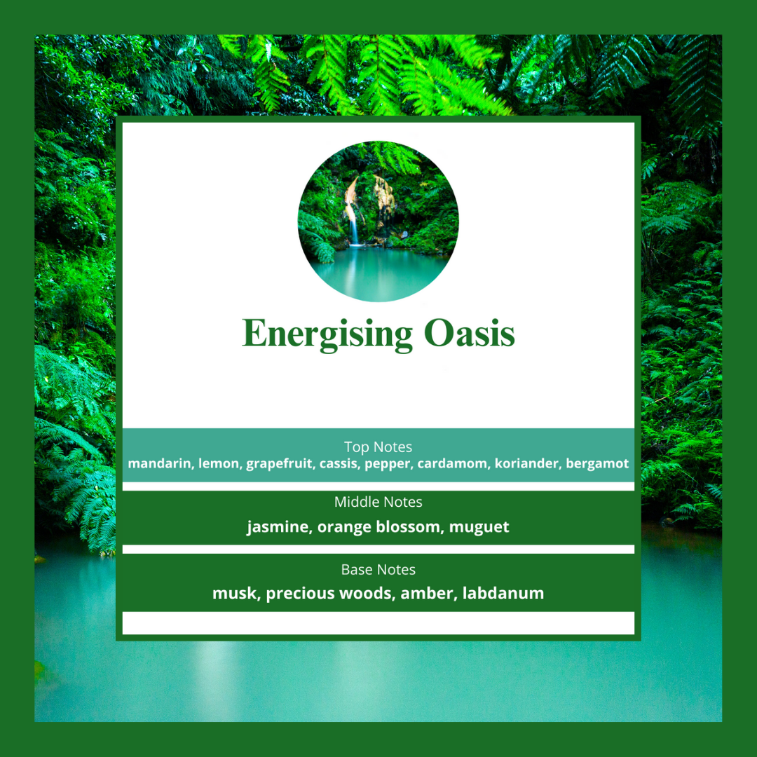 Waxmelts - Energizing Oasis