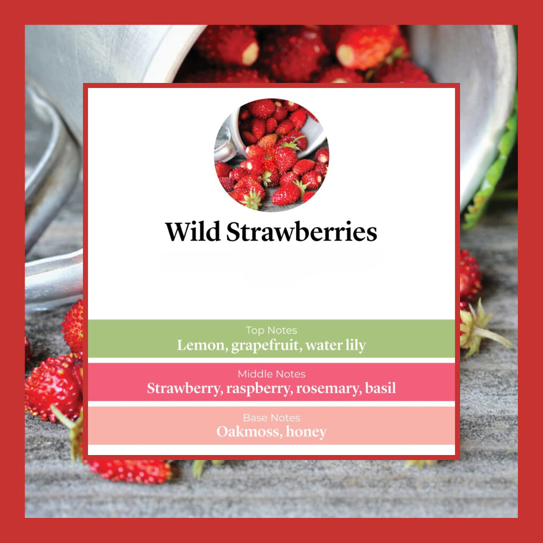 Waxmelts - Wild Strawberries