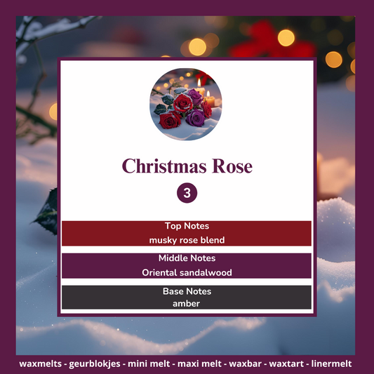 Waxmelts - Christmas Rose
