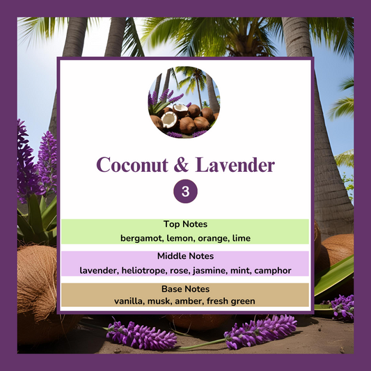 Waxmelts - Coconut & Lavender