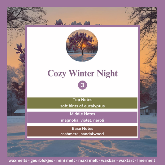 Waxmelts - Cozy Winter Night