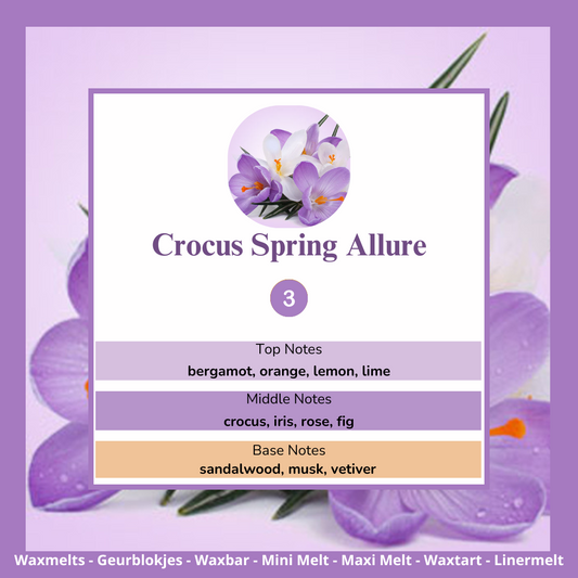 Waxmelts - Crocus Spring Allure