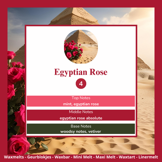 Waxmelts - Egyptian Rose